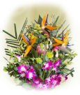 USA Orchids USA,,:Bird & Orchid Premium Bouquet